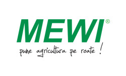 Mewi